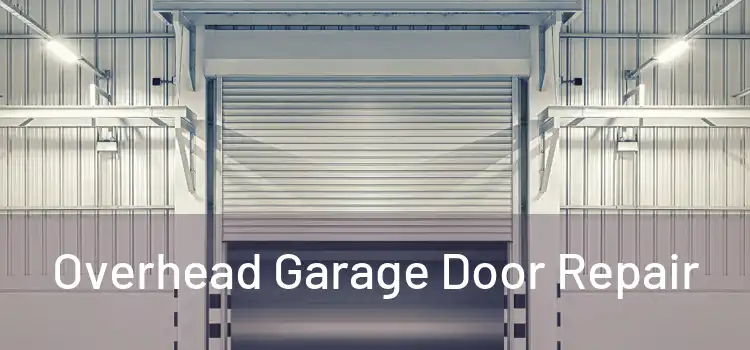  Overhead Garage Door Repair 